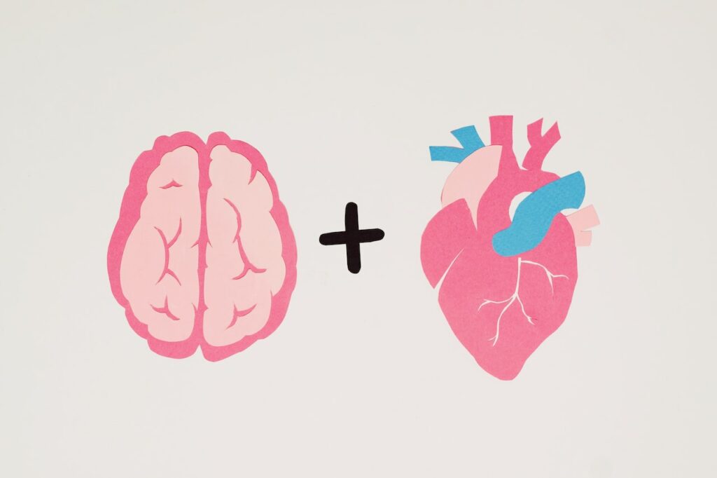 Cerebro y corazón